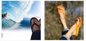 FLOPEDS