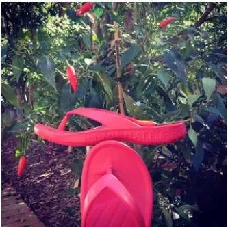 FLOPEDS